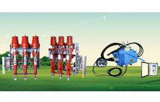 關(guān)于高壓負荷開(kāi)關(guān)前面雷爾沃電器已經(jīng)為大家整理了不少知識，不知道你對柱上負荷開(kāi)關(guān)有了解沒(méi)？如今在市場(chǎng)上比較常見(jiàn)的柱上負荷開(kāi)關(guān)主要是壓氣式負荷開(kāi)關(guān)以及真空負荷開(kāi)關(guān)，我們分別來(lái)為大家做一個(gè)比較簡(jiǎn)單的講解。